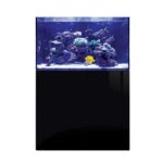 D-D Aqua-Pro Reef 900 – Gloss Black