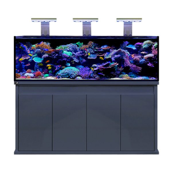 D-D Reef Pro 1800 Gloss Anthracite